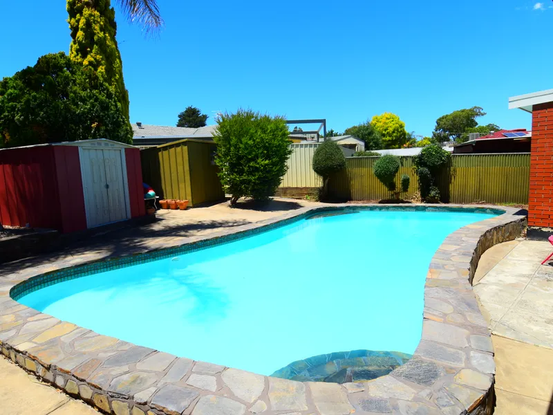 A SUMMER DELIGHT FOR THE EXTENDED FAMILY!! 