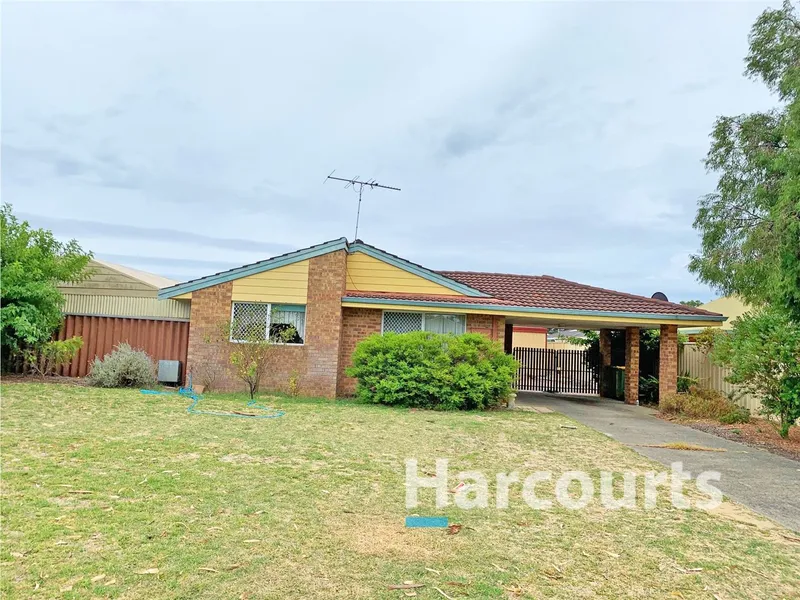 Establish Yourself Now