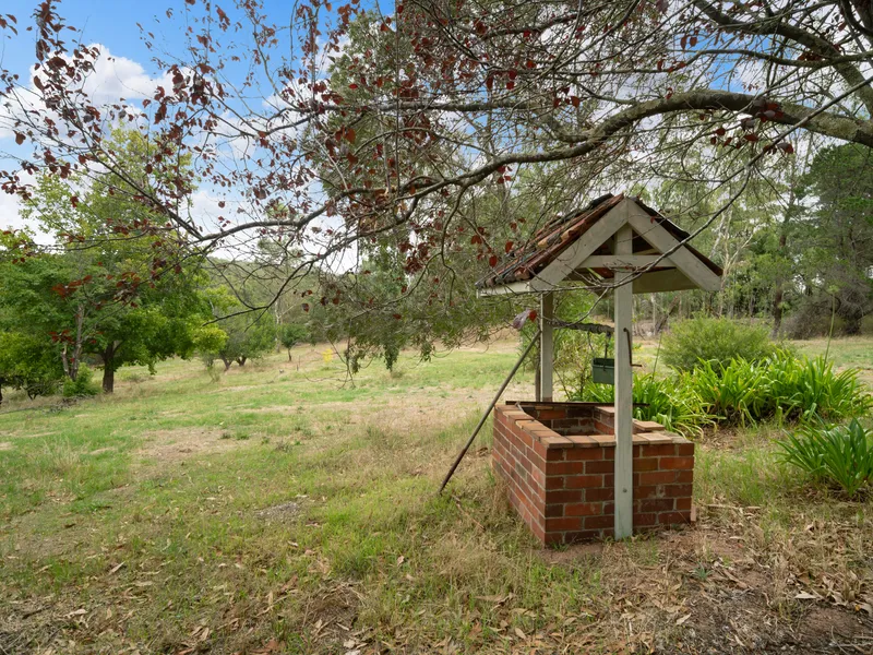 A Fresh Start In The Hills