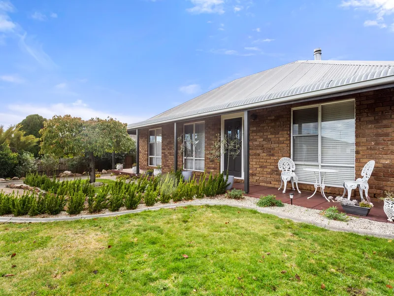 A character filled cutie!