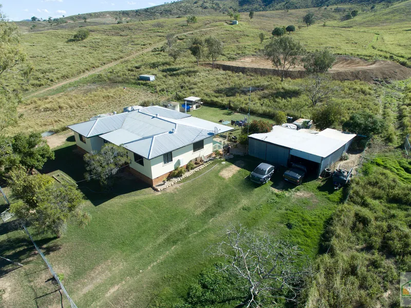 Prime Cattle or horse country