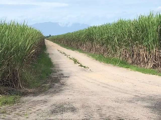 HIGH-YIELD CANE FARM ENTERPRISE – TULLY, QLD
