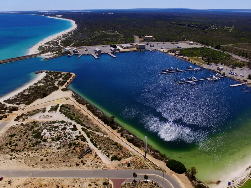 Did Someone Say Mermaid?