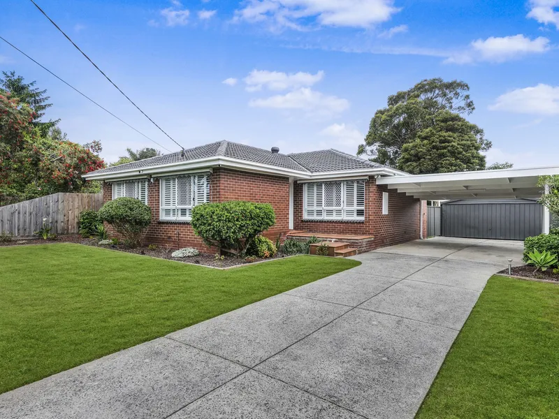 Live a Life of Endless Enjoyment