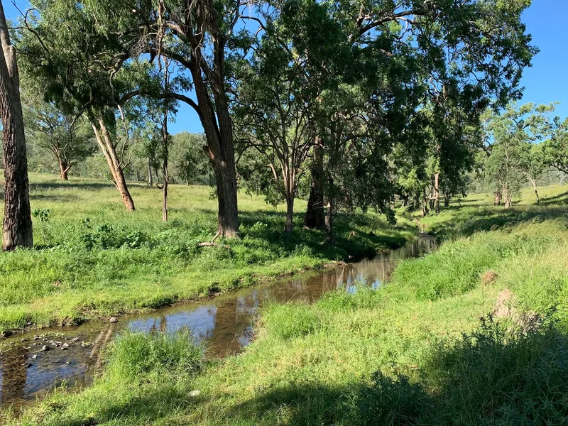 1,930* HECTARES/4,769* ACRES - 2,000* TO 2,500* DSE PLUS RANGLAND GOAT HARVESTING