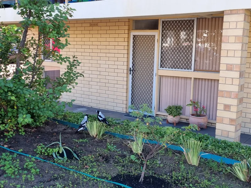 BEACH SIDE ON A BUDGET