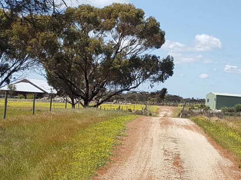 Work from home with a small licensed vineyard & winery.