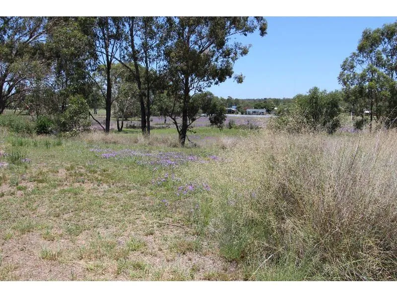 Elevated allotment, bitumen frontage, services available.