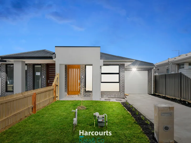 Brand New And Ready To Love!