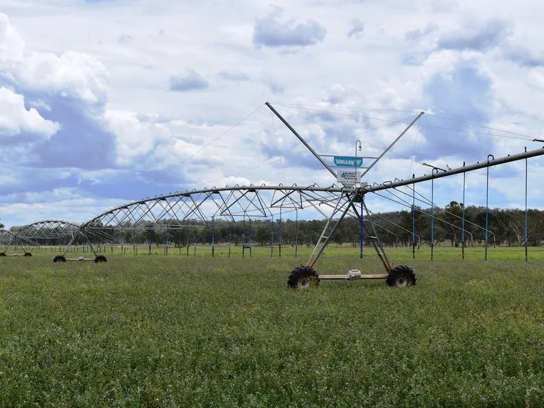 Barker Creek Irrigation Farms