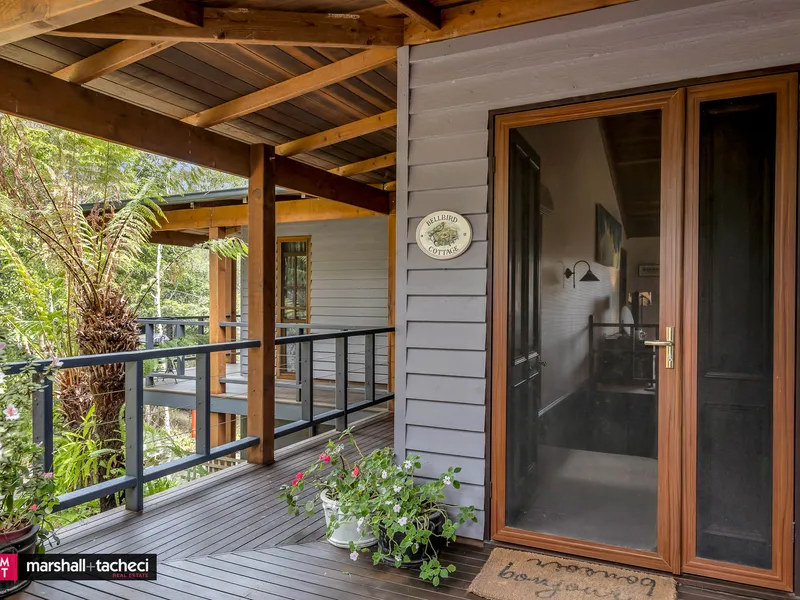 Modern Australian Elegance (plus a bit of Bermagui history)