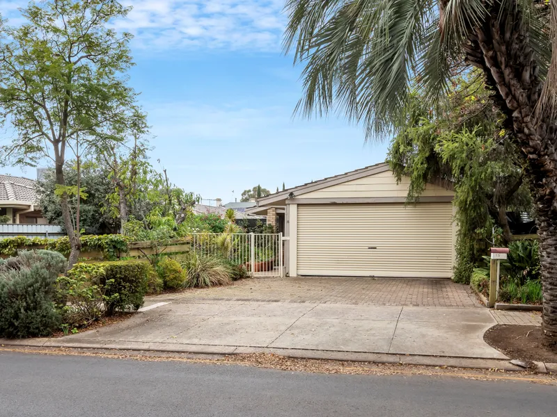 Potential to be Something Amazing!