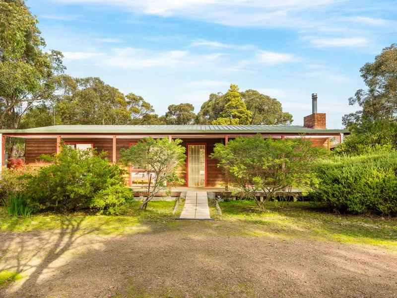 Prominent Corner Bush Acreage - 10 Acres Approx.