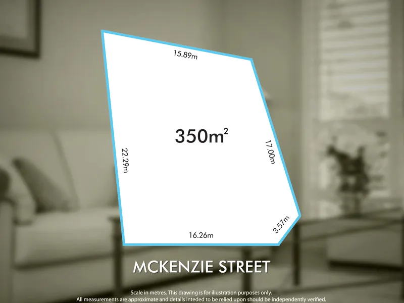 Endless views in leafy Coromandel Valley