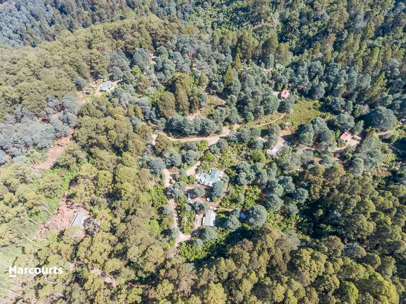 Private Off Grid Forest Eco Retreat