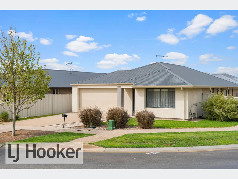 Perfect starter or investment!