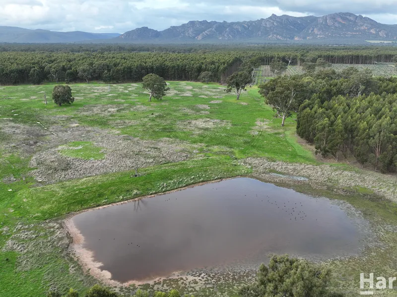 High Rainfall Grazing Land Project