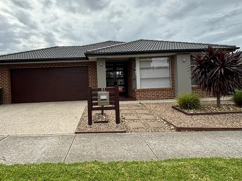 Guaranteed to Please!