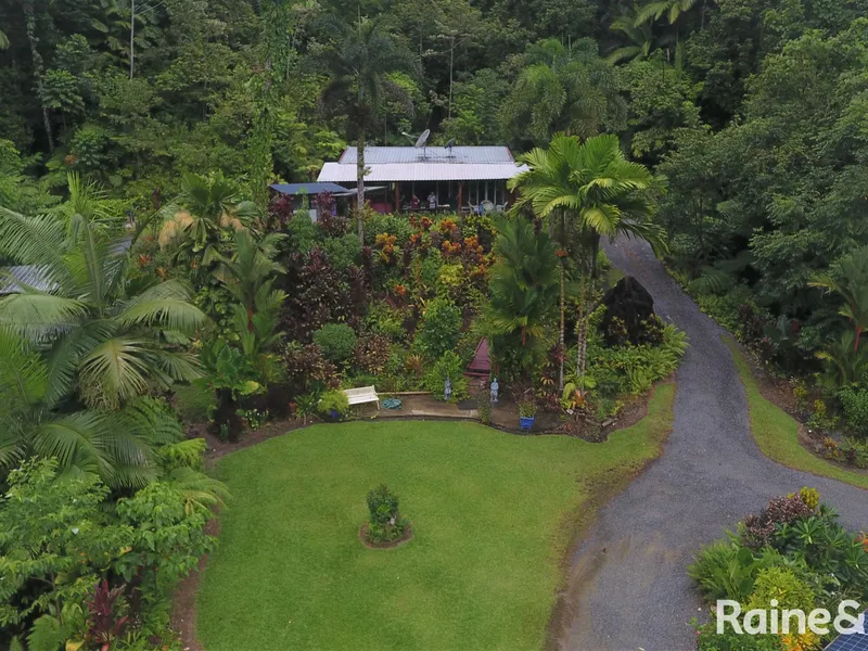 Perfection in absolute paradise in Cape Tribulation