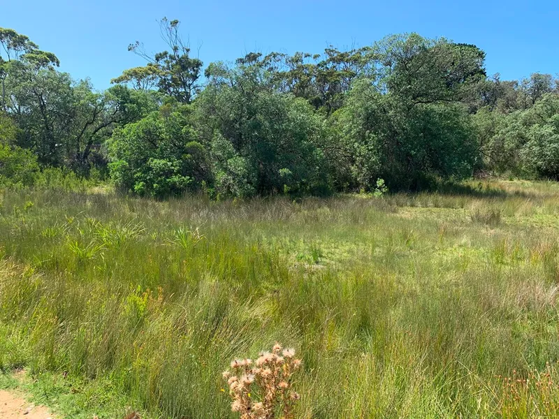 AFFORDABLE BEACH BLOCK
