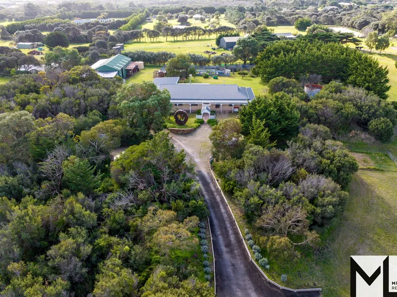 Wait, Stop, Look At This One! So Many Options!