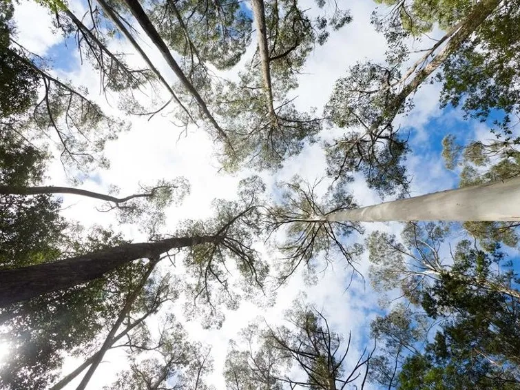 Off Grid Paradise Close to City