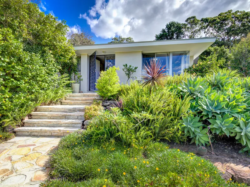 Single level family home with treetop views