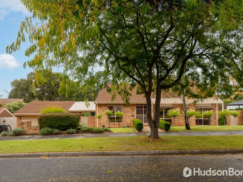 Expansive Family Oasis