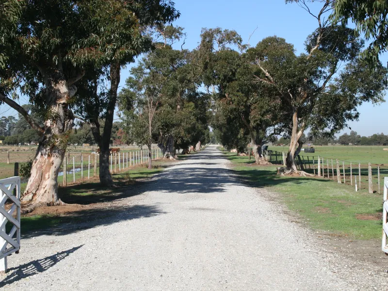 Wirrawee Pastoral