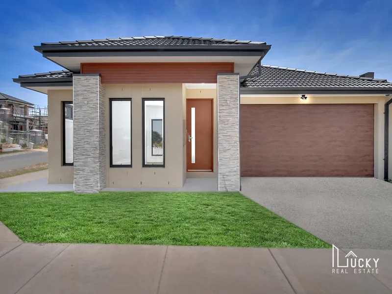 Brand New! Ready to Move In!