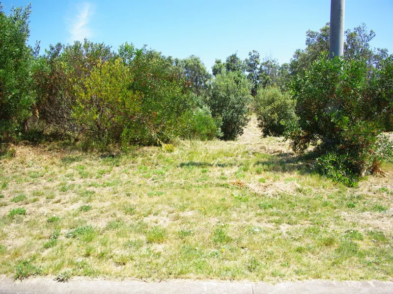 BUILD AN INTERESTING HOUSE FOR WHALE WATCHING