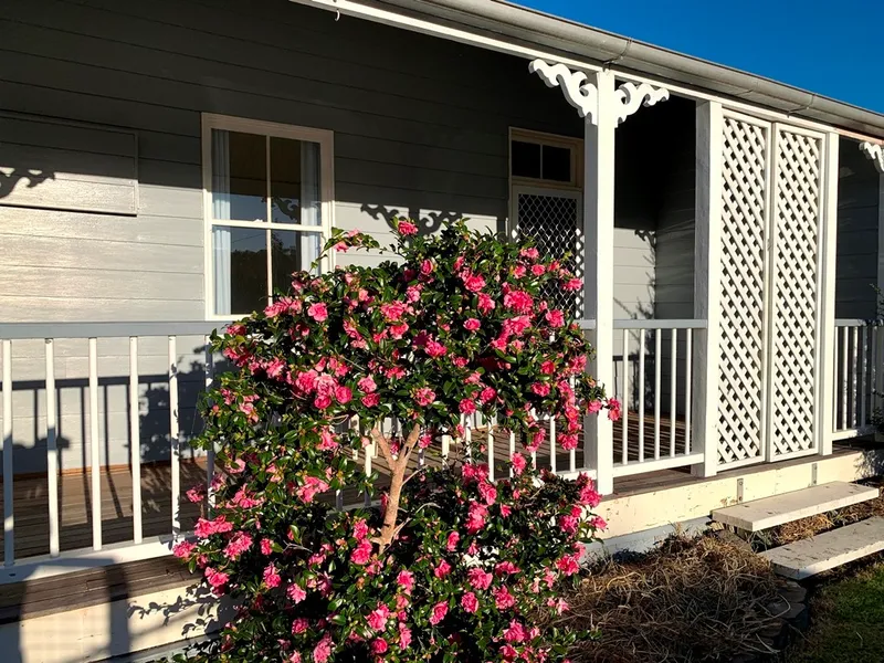 CHARACTER & CHARM IN PERFECT LOCATION