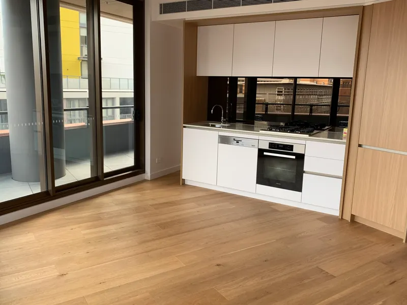 Luxury Entertainment Near new living!