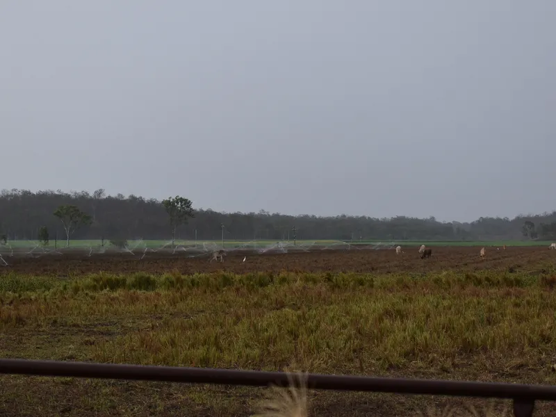 OVER 100 ACRES OF PREMIUM CROP LAND
