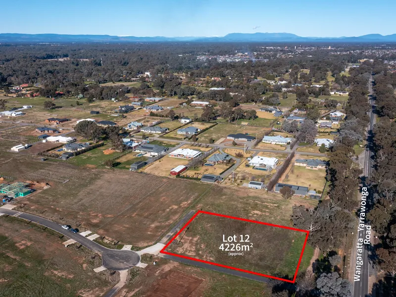 Awe - Inspiring Allotment!