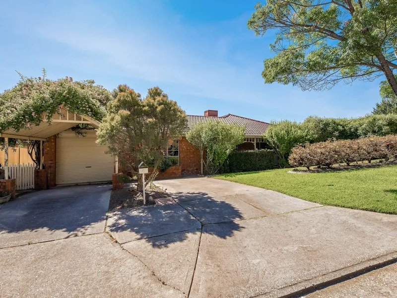 Sometimes Dreams do Come True