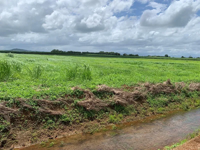 Rich Soil