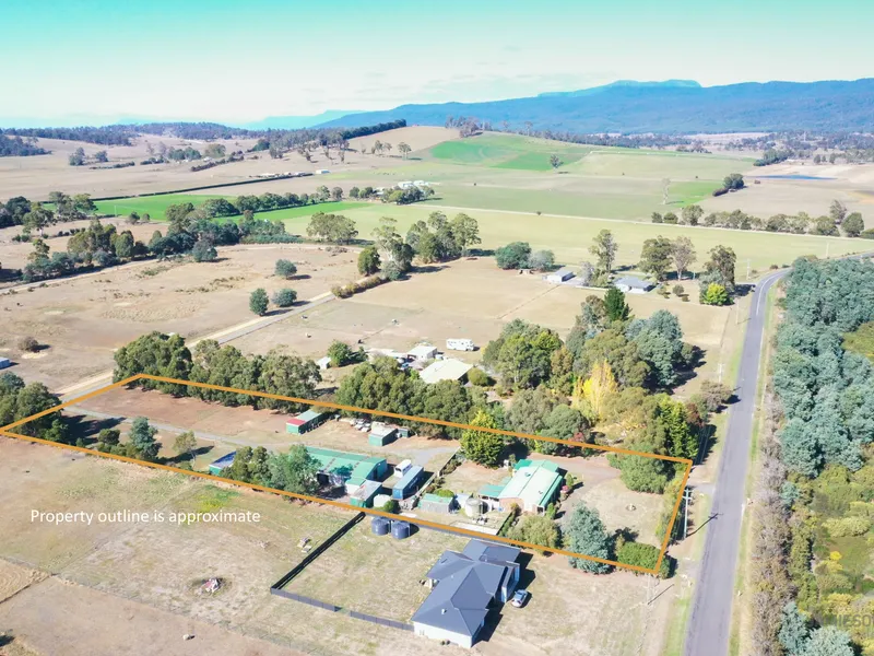 A Horse Lover's Dream