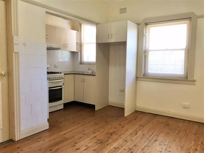 FULLY RENOVATED GROUND FLOOR GARDEN DUPLEX