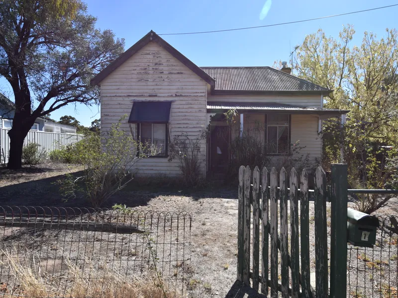 Renovators Dream