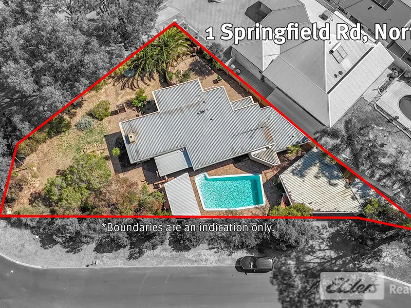 Discover the Unique Charm of Springfield Road