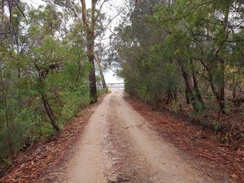 LAST PRIME WATERFRONT LAND. Walk to town with your fur baby!