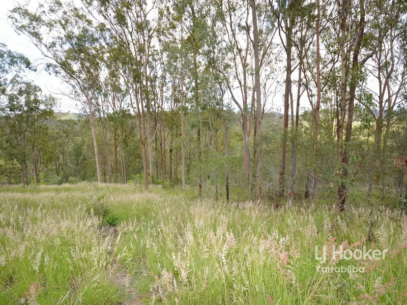 Peaceful Country Views