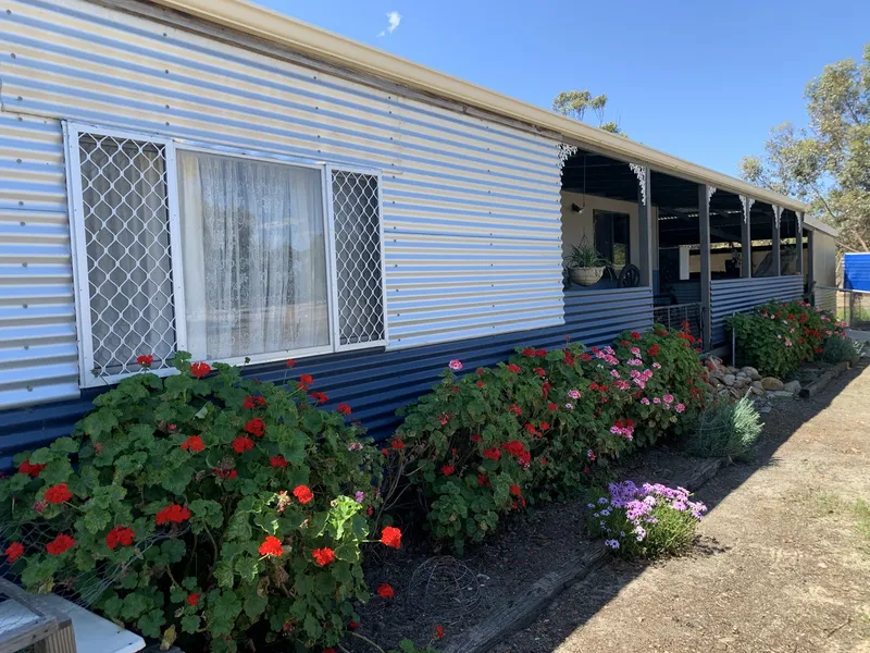 51 ACRES … JUST ADD HORSES, CATTLE, PIGS, GEESE, CHICKENS