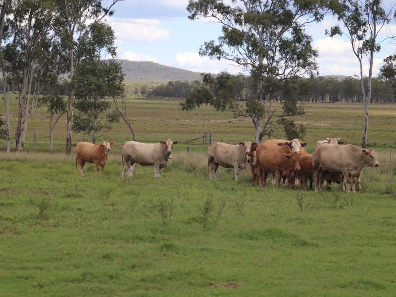 “Brigalow”—Productive Mixed Farming - Close proximity to town