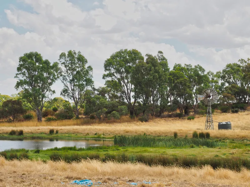 Spectacular Lifestyle Acreage