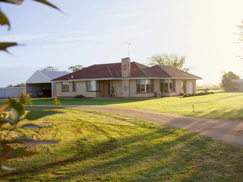 Excellent Lucerne, Grazing, Lifestyle or Dairy Property