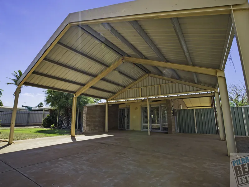 Supersized Carport + Shed