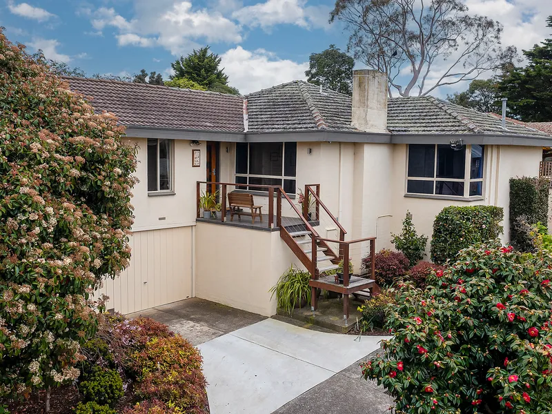 Big Family Living, Low Maintenance Appeal