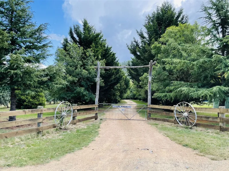 Uplands